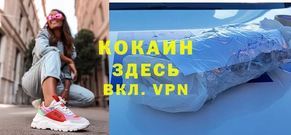 ПСИЛОЦИБИНОВЫЕ ГРИБЫ Осинники
