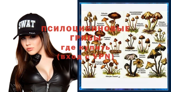 ПСИЛОЦИБИНОВЫЕ ГРИБЫ Осинники