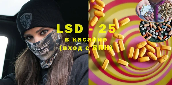 ПСИЛОЦИБИНОВЫЕ ГРИБЫ Осинники