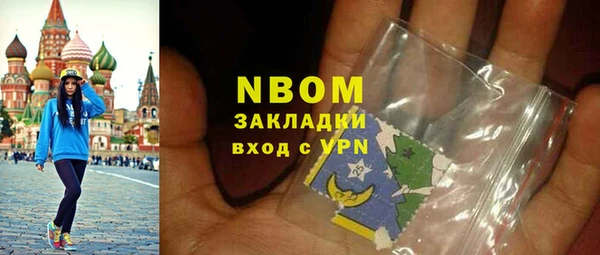 ПСИЛОЦИБИНОВЫЕ ГРИБЫ Осинники