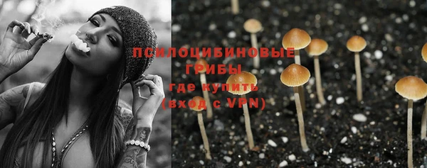 ПСИЛОЦИБИНОВЫЕ ГРИБЫ Осинники