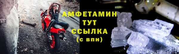 ПСИЛОЦИБИНОВЫЕ ГРИБЫ Осинники
