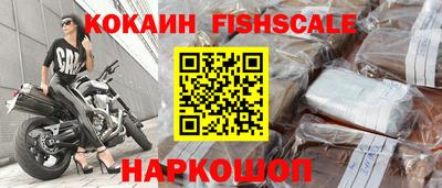 крисы Кингисепп