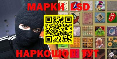 крисы Кингисепп
