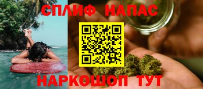 крисы Кингисепп