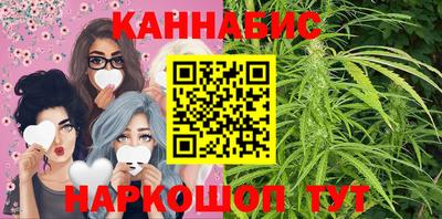 крисы Кингисепп