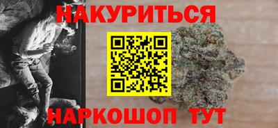 крисы Кингисепп