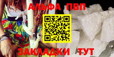 крисы Кингисепп