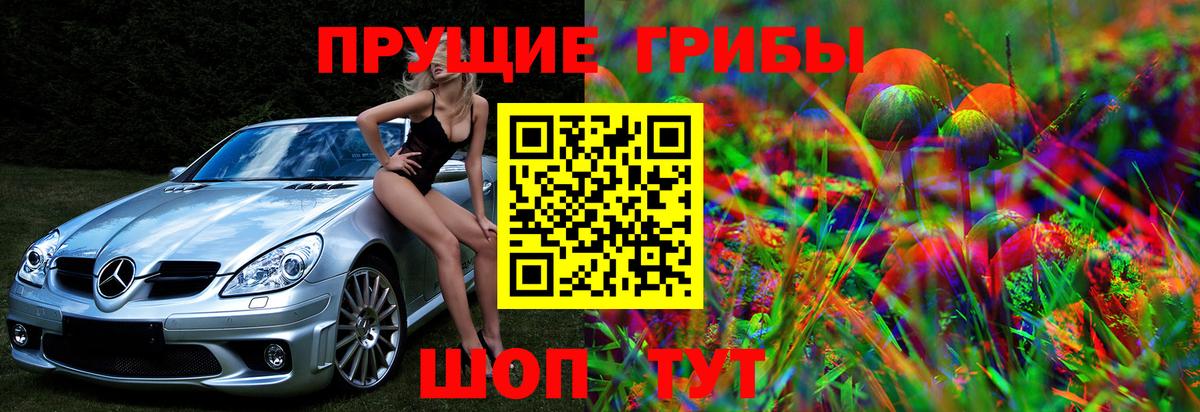 Альфа ПВП Спасск-Дальний