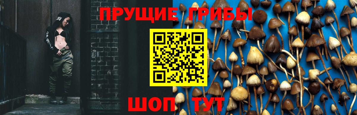 Псилоцибиновые грибы GOLDEN TEACHER  Вход с VPN  Спасск-Дальний 