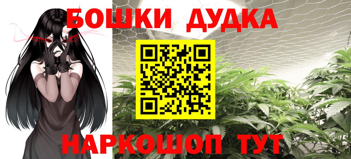 Шишки марихуана план  Спасск-Дальний  Бошки марихуана ГИДРОПОН  Конопля Ganja 